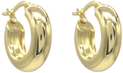 Oorbellen - RVS - goudkleurig - 18mm - dames - sieraden - stijlvol - elegant - cadeau