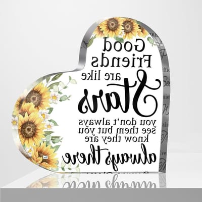 Vriendschapscadeaus voor Vrouwen - Bloemen Geschenken, Beste Vriendin Cadeaus en Decoratie voor Thuis en Kantoor