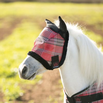 Kensington Vliegenmasker II met Oren Kentucky Blue Pony