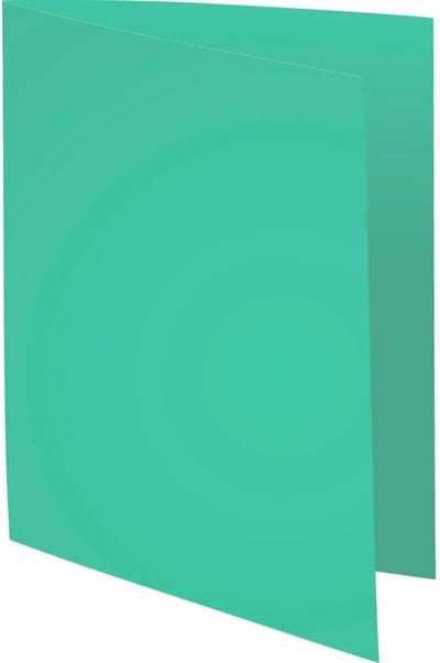Exacompta 5x SUPER 210 Pak van 100 mappen 210g/m2 -24x32cm voor A4. - Fel groen - 330021E