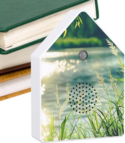 Muziekdoos Zang - Natuurklank Box - Ontspanning Creëren - Bewegingssensor Timer - 15 x 10.8 cm - Wit