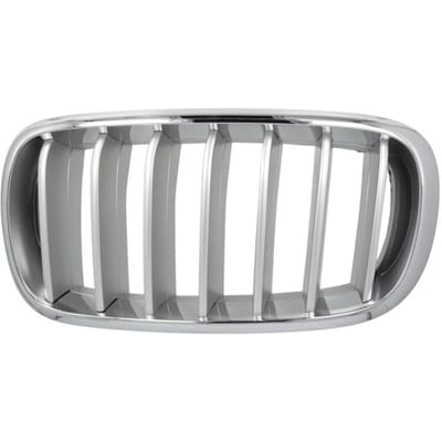 Radiatorrooster BLIC 6502-07-00969955P links