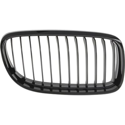 Radiatorrooster BLIC 6502-07-0062992BQ rechts