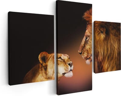 Artaza Canvas Schilderij Drieluik Leeuw En Leeuwin - Kleur - 90x60 - Foto Op Canvas - Canvas Print