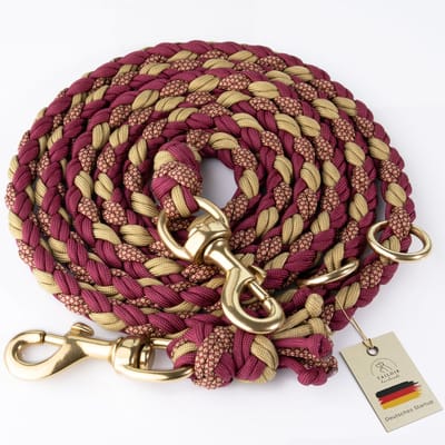 Dailygoods- Hondenriem 2m - Verstelbaar Paracord - Dubbele Clip - Anti Bijten - Duurzaam - Comfortabele Grip - Hondentuig