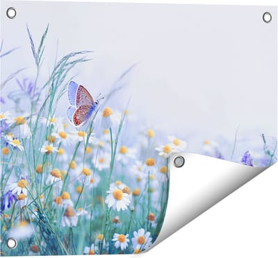 Gards Tuinposter Witte Kamille Bloemen met een Vlinder - 50x40 cm - Tuindoek - Tuindecoratie - Wanddecoratie buiten - Tuinschilderij