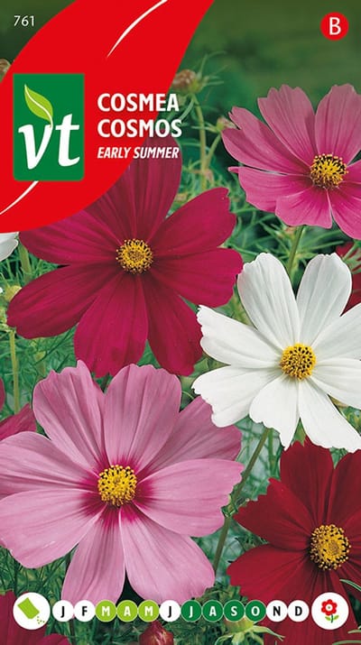 Cosmea Early Summer - Vroege bloei met kleurrijke bloemen tot aan de eerste vorst