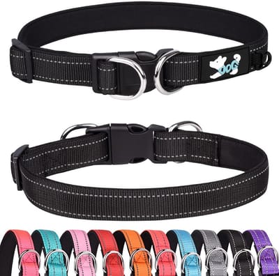 Dailygoods- Halsband Gewatteerd - Verstelbaar - Reflecterend - Voor kleine/middelgrote/grote honden - Neopreen - Maat L (38-60 cm) - Hondenhalsband