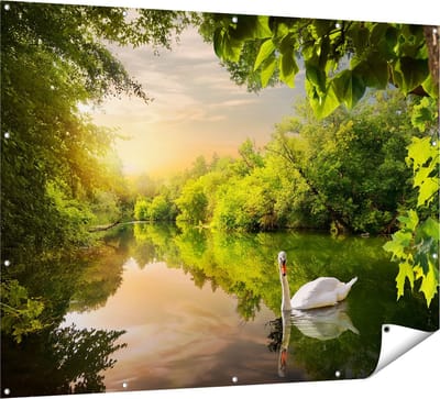 Gards Tuinposter Zwaan op het Water in het Bos - 160x120 cm - Tuindoek - Tuindecoratie - Wanddecoratie buiten - Tuinschilderij
