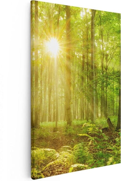 Artaza Canvas Schilderij Bos - 80x120 cm - Groot - Wanddecoratie Zonlicht - Muurdecoratie Bomen - Schilderijen Op Canvas Natuur