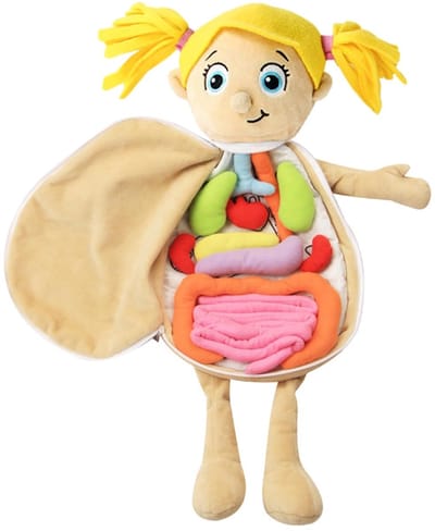 Anatomie Pop - Leren Lichaam - Kinderen Leren - Zachte Stoffen Organen - 49 x 33 cm - Multicolor