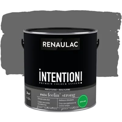Renaulac Intention Muurverf - Extra Mat - Feelin' Strong - 2,5l