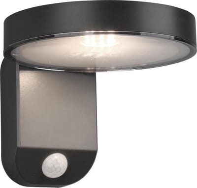 REALITY POSADAS - Wandlamp - Antraciet - incl. 1x SMD 4,5W - Bewegingssensor - Zonne energie - Solar - Snoerloos - Buitenverlichting - IP44