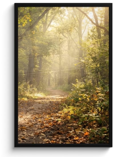 Poster in lijst - Fotolijst 60x90 cm - Posters - Zonlicht - Bospad - Bomen - Posterlijst zwart - Decoratie - Wanddecoratie woonkamer - Muurdecoratie slaapkamer