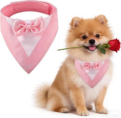Honden Tuxedo en Trouwen Bandana Kraag met Strik voor Kleine Honden - Perfecte Kostuums voor Honden op Bruiloften en Feestjes (Hals: 20-30cm/Pink)