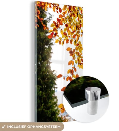MuchoWow® Glasschilderij 20x40 cm - Schilderij acrylglas - Herfst - Bladeren - Natuur - Foto op glas - Schilderijen