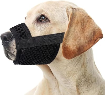 Verstelbare en ademende muilkorf voor kleine en middelgrote honden, voorkomt bijten en blaffen, veilige pasvorm
