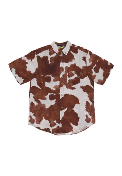 Shirt Sleeve Short Man Cow Regular S/s Shirt White