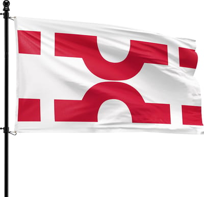 VlagDirect - Losser vlag - Gemeente Losser vlag - 90 x 150 cm.