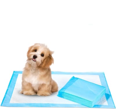Trainingspads Puppy 60x60 cm – 25 Stuks – Superabsorberend, Lekvrij, Huidvriendelijk – PP/PE Laag – Puppy Zindelijkheidstraining