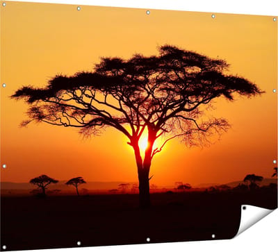 Gards Tuinposter Zonsondergang Achter een Savanne Boom - 160x120 cm - Tuindoek - Tuindecoratie - Wanddecoratie buiten - Tuinschilderij