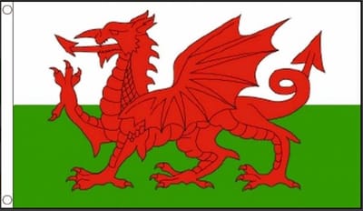 Vlag Wales 90x150cm | Best Value
