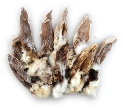Kynobite konijnenoren met haar 4x100 gram