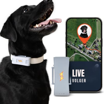 Nexvo® GPS Tracker hond - GPS Tracker - GPS Trackers - Grijs - ‎8cm x 4cm x 2cm