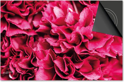 Inductie beschermer 60x60 - afdekplaat inductie mat - Dietrix Kookplaat beschermer - Exclusief - Flowers 2 - Pioenen fuchsia paddles