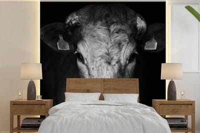 Behang - Fotobehang Dieren - Koe - Zwart - Wit - Koeienkop - Breedte 300 cm x hoogte 300 cm