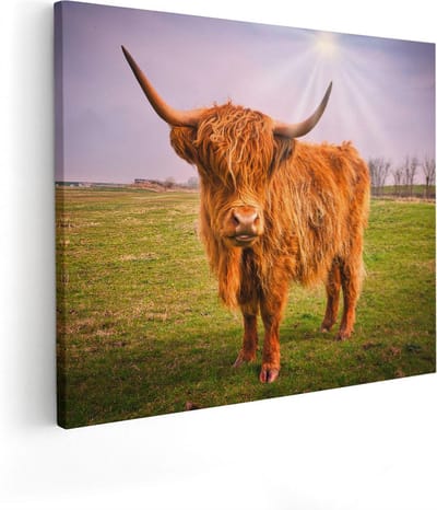 Artaza Canvas Schilderij Schotse Hooglander - 100x80 cm - Groot - Wanddecoratie Woonkamer - Muurdecoratie Dieren - Schilderijen Op Canvas