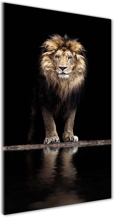 Tulup Glasschilderij - Glas Schilderij Portret Van Een Leeuw - 50 cm x 100 cm - Schwarz Foto In Glas - Foto Op Glas - Klassieke Glasafbeeldingen - Schilderij Op Glas - Glasdecoratie voor de Hal