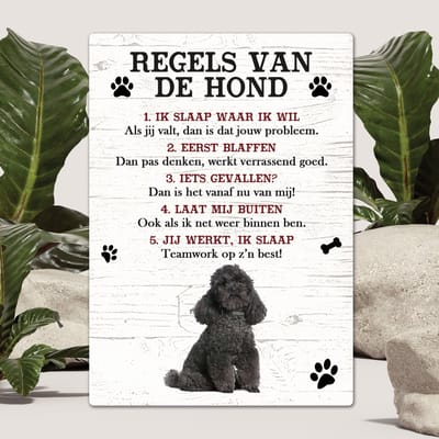 Spreuken - Poedel zwart - Regels Van De Hond - Spreuken Bordjes - Spreukenbord - Tekstborden - Cadeau - Hondenras