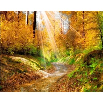 Diamond Painting Bos In Het Ochtendlicht Landschap Diamond Borduren Cross Stitch Home Decor 20X30CM yellow