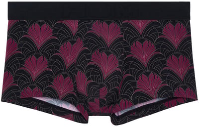 HOM Trunk Carlyle