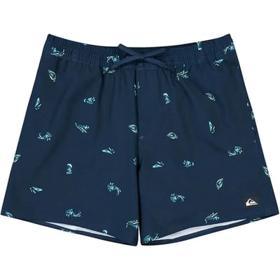 Quiksilver Stretch Printed Volley 16´´ Zwembroek Blauw XS Man