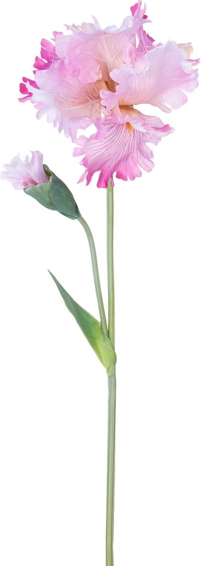 Easyplants | Kunstbloem Iris 80 cm roze | Zijde | Nepbloemen | roze | Onderhoudsvrij | Kant-en-klaar