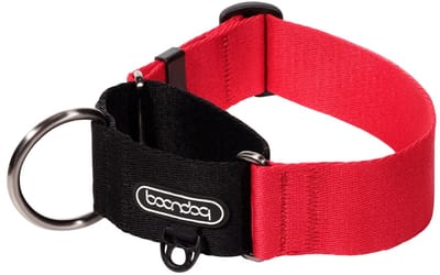 Boondog - Martingale Wide Collar - Red - M