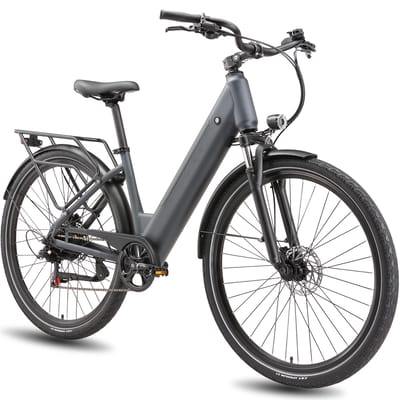 Maxtron Lira Elektrische Stadsfiets, 48V 15Ah Batterij, Hydraulische Schijfremmen