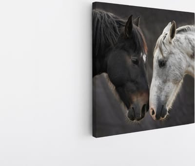 Saammp Canvas Schilderij - 2 Paarden - Liefdevol - Dieren - Natuur - 20x20 - Foto op canvas - Wanddecoratie - muurdecoratie Woonkamer - Slaapkamer decoratie - Canvas Print