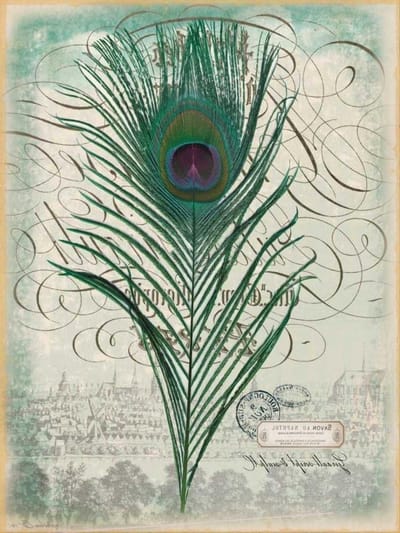 Afbeelding op ROLLED CANVAS Peacock Feather 2 Ophelia en Co - Botanische verticale Art print Vogels Botanische Pauw Teal Aqua Turquoise Co Canvas fijne kunst 20_X_15_in