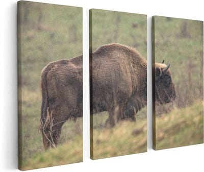 Artaza Canvas Schilderij Drieluik Bizon in het Gras - 120x80 - Foto Op Canvas - Canvas Print