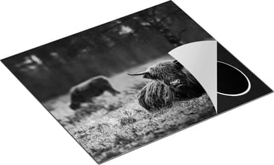 Chefcare Inductie Beschermer Schotse Hooglanders in de Weide - Zwart Wit - 60x50 cm - Afdekplaat Inductie - Kookplaat Beschermer - Inductie Mat