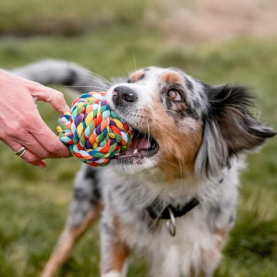 Duurzaam Katoenen Touwspeeltje voor Honden - Perfect voor Bijt- en Trekspelletjes
