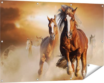 Gards Tuinposter Wilde Paarden in het Zand - 120x80 cm - Tuindoek - Tuindecoratie - Wanddecoratie buiten - Tuinschilderij