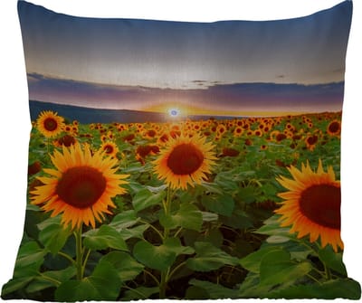 Tuinkussen - Bloemen - Nacht - Zonsondergang - Zonnebloem - Horizon - 40x40 cm - Weerbestendig