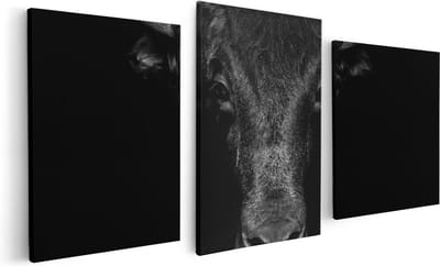 Artaza Canvas Schilderij Drieluik Stierenkop - Stier - Zwart Wit - 120x60 - Foto Op Canvas - Canvas Print