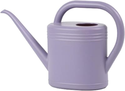 Grote gieter met een inhoud van 2 liter en een lange tuit, ideaal voor hangpotten, bloembakken op de vensterbank en de tuin. Gieter met sproeikop