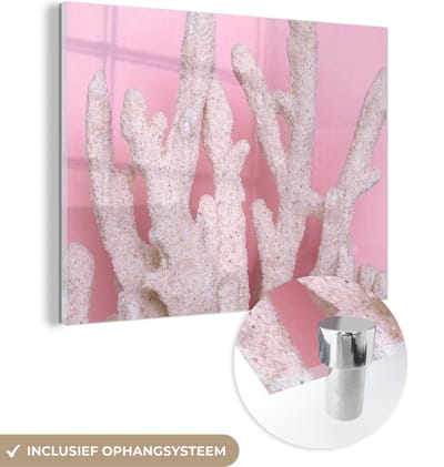MuchoWow® Glasschilderij 40x30 cm - Schilderij acrylglas - Koraal - Roze - Zomer - Foto op glas - Schilderijen