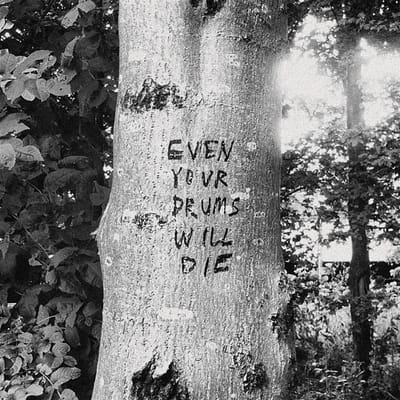 Richard Swift - Even Your Drums Will Die - Live At Pendarvis Farm 2011 (LP)
